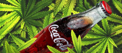 coca-cola-cannabis-marijuana-cannabidiolo-cmd_2098841.jpg
